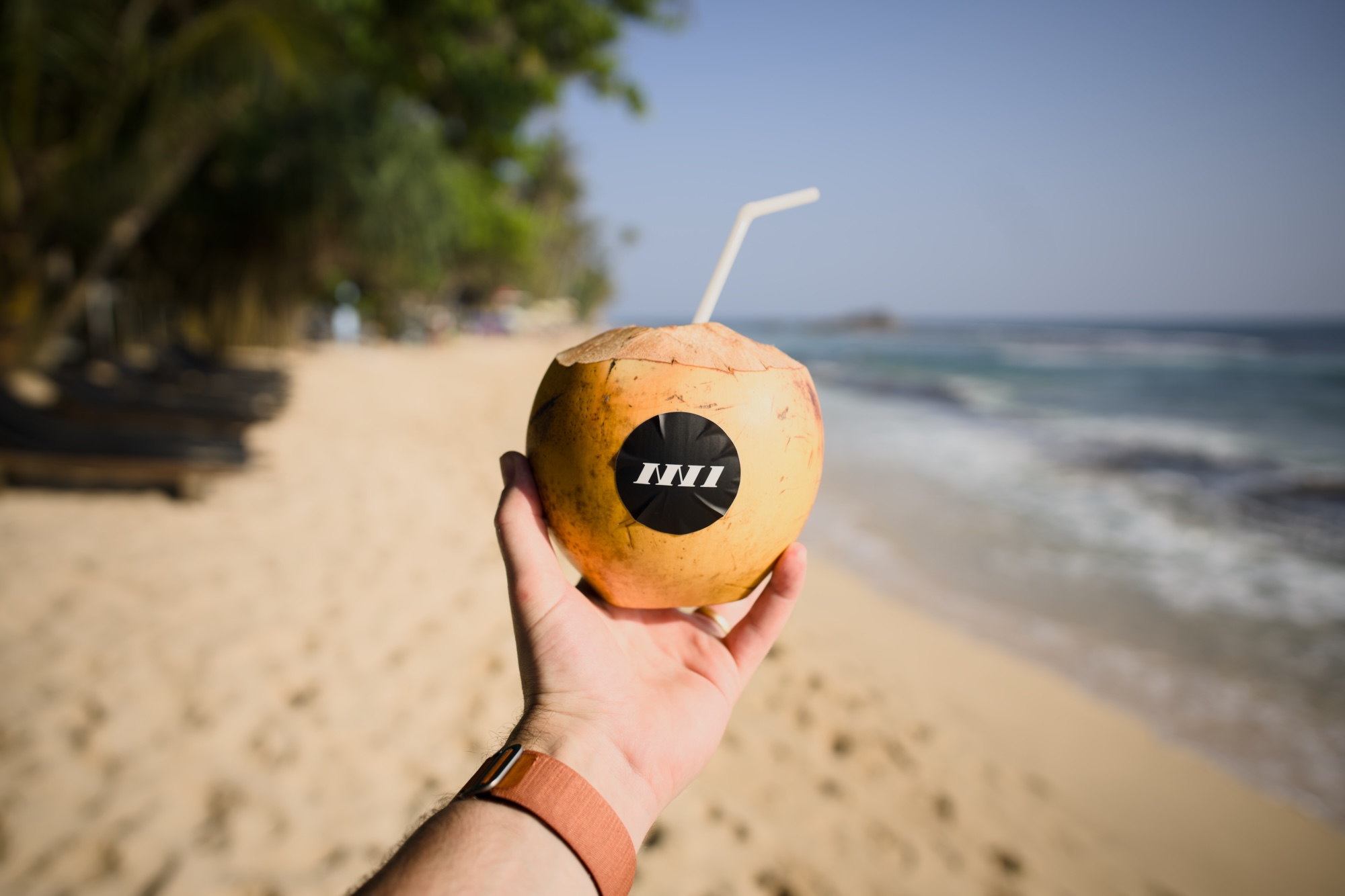 NN1 Dev Club sticker on the king coconut. Beautiful sunny beach and palm trees in the background.