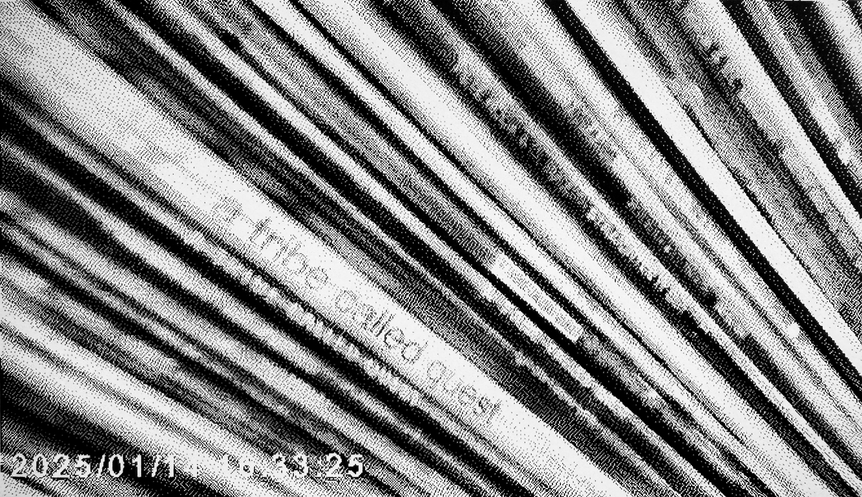 Edge of the Tribe Called Quest record